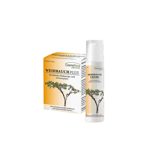 Weihrauch Plus Kps + Weihrauch Creme im Set