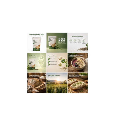 Hanfland Bio Hanfprotein 56 % – 700 g