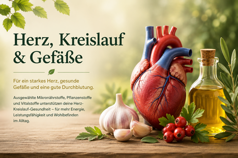 Herz, Kreislauf & Gefäße