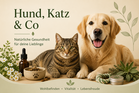 Hund, Katz & Co