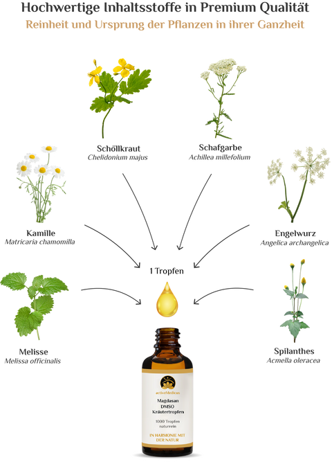activeMedicus DMSO Kräutertropfen Dr.Hartmut Fischer