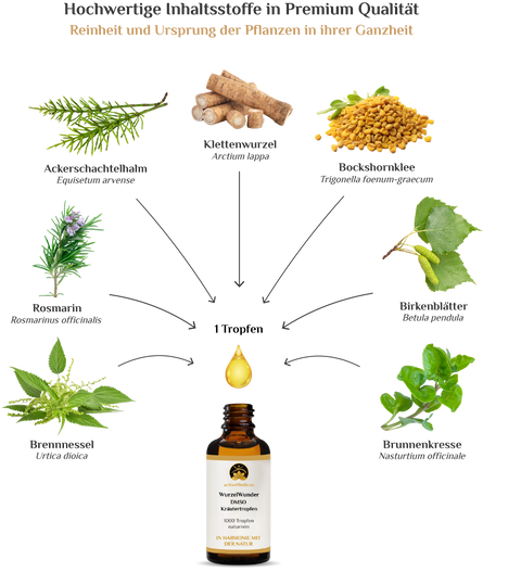 activeMedicus DMSO Kräutertropfen Dr.Hartmut Fischer
