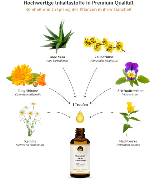 activeMedicus DMSO Kräutertropfen Dr.Hartmut Fischer