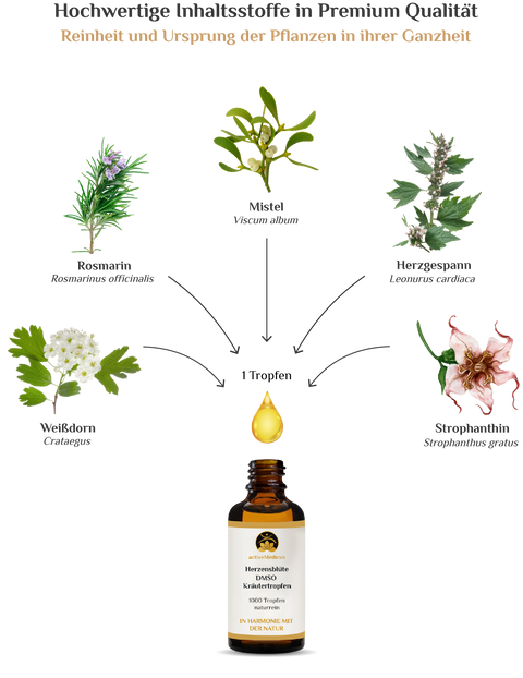 activeMedicus DMSO Kräutertropfen Dr.Hartmut Fischer