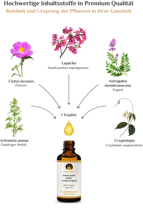 activeMedicus DMSO Kräutertropfen Dr.Hartmut Fischer