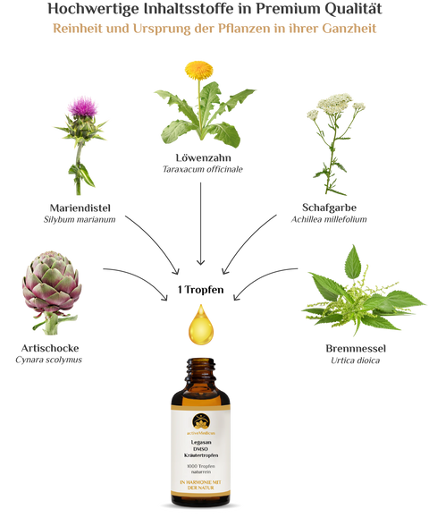 activeMedicus DMSO Kräutertropfen Dr.Hartmut Fischer