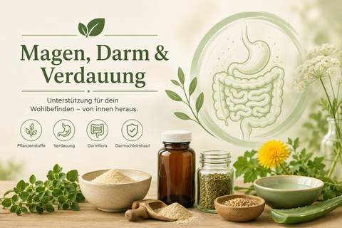 Magen, Darm & Verdauung