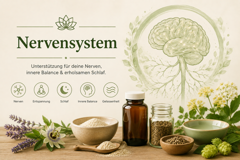 Nervensystem