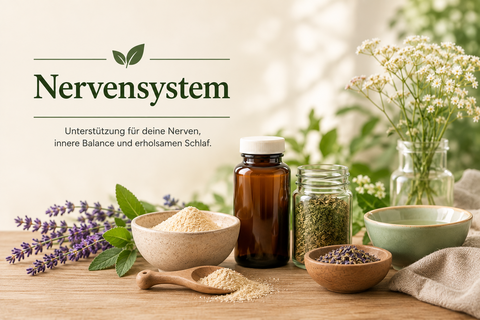 Nervensystem