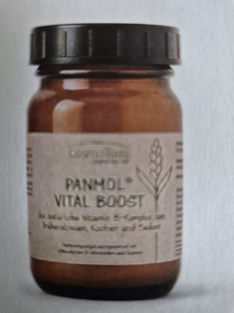 Panmol VITAL BOOST