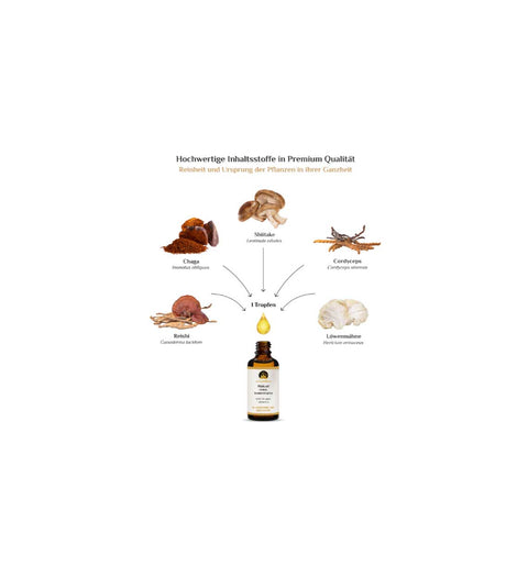 activeMedicus DMSO Kräutertropfen Dr.Hartmut Fischer